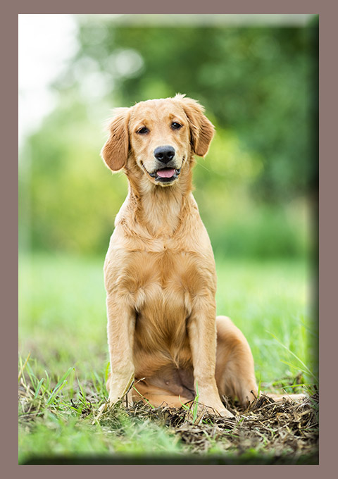 Leya-juli-01-vorstellung