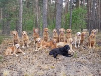 N Wurftreffen Gruppe Kl