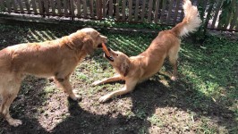 1. Geburtstag Sam Und Vin Kl