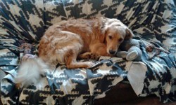 1. Geburtstag Viertje Kl