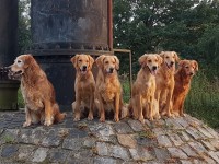 Geschwistertreffen Kl