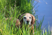 Sparkling Elli 8 Jahre