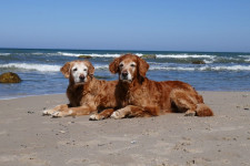 Taiga Und Nash 14 Jahre