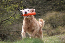 Sparkling Elli 10 Jahre