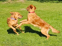 Trudy Und Sally Wesenstest