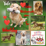 Yule 5 Jahre