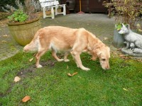 Merle Am Tag 63 Noch Alles Ruhig